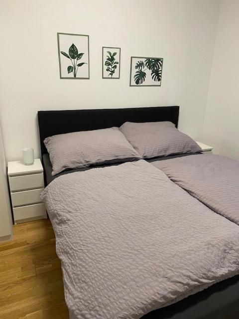 Paky Appartements 00322 Bruck an der Leitha Εξωτερικό φωτογραφία